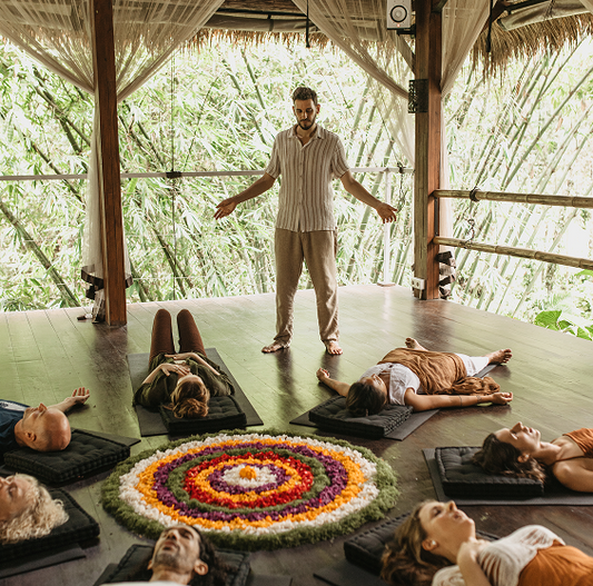 Holosomatic Method® Training