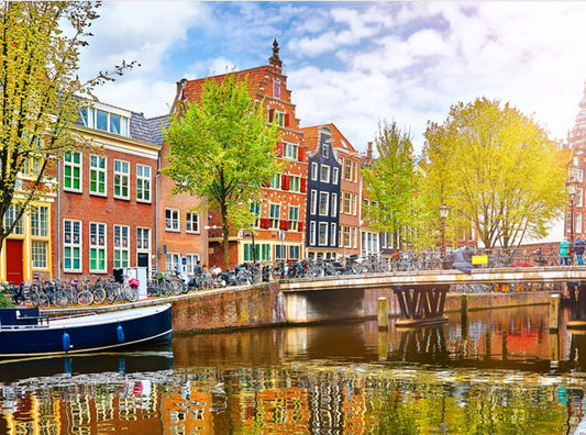 Holosomatic Experience | Amsterdam Edition