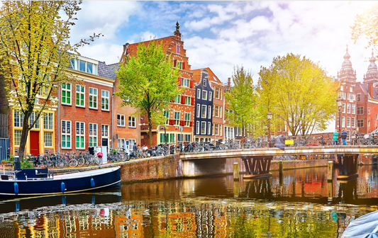 Holosomatic Experience | Amsterdam Edition